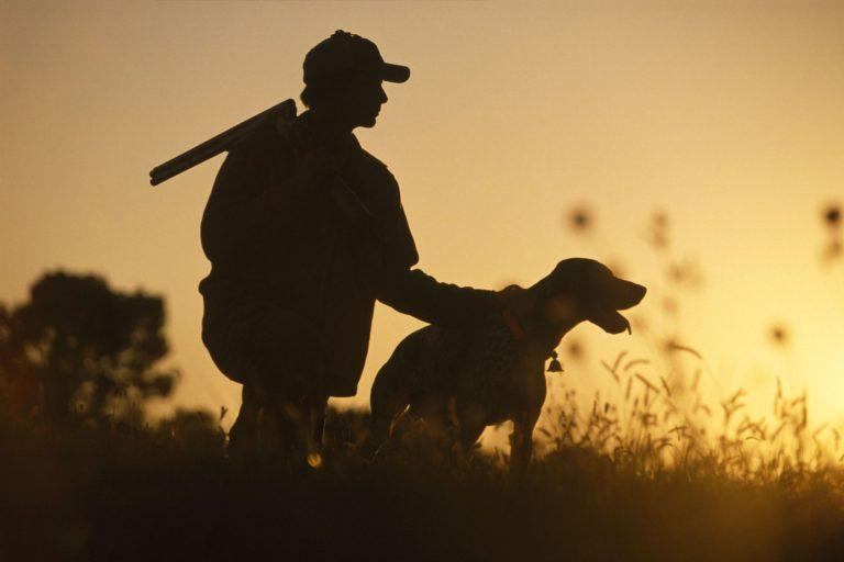 Membership Information California Pig Hunting